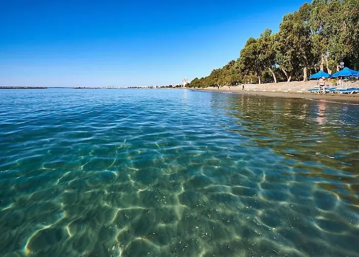 Two Bedroom Apartment, Spacious & Newly Renovated, Three Minutes From The *